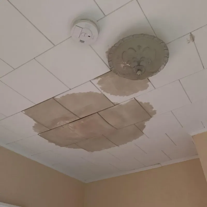 Ceiling Water Damage Repair in Lowell, IN