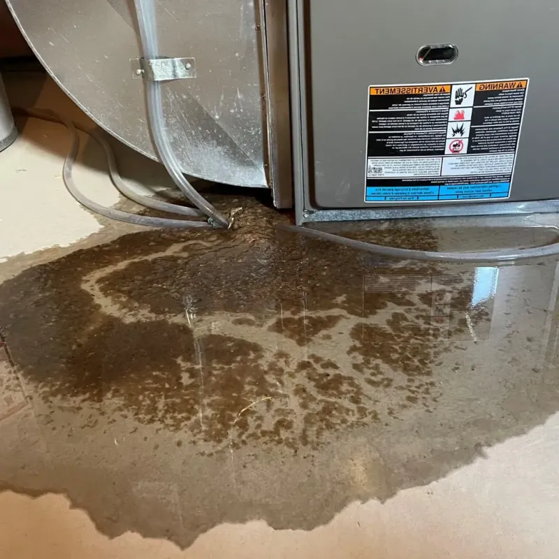 Pipe Burst and Leak Restoration in Lowell, IN