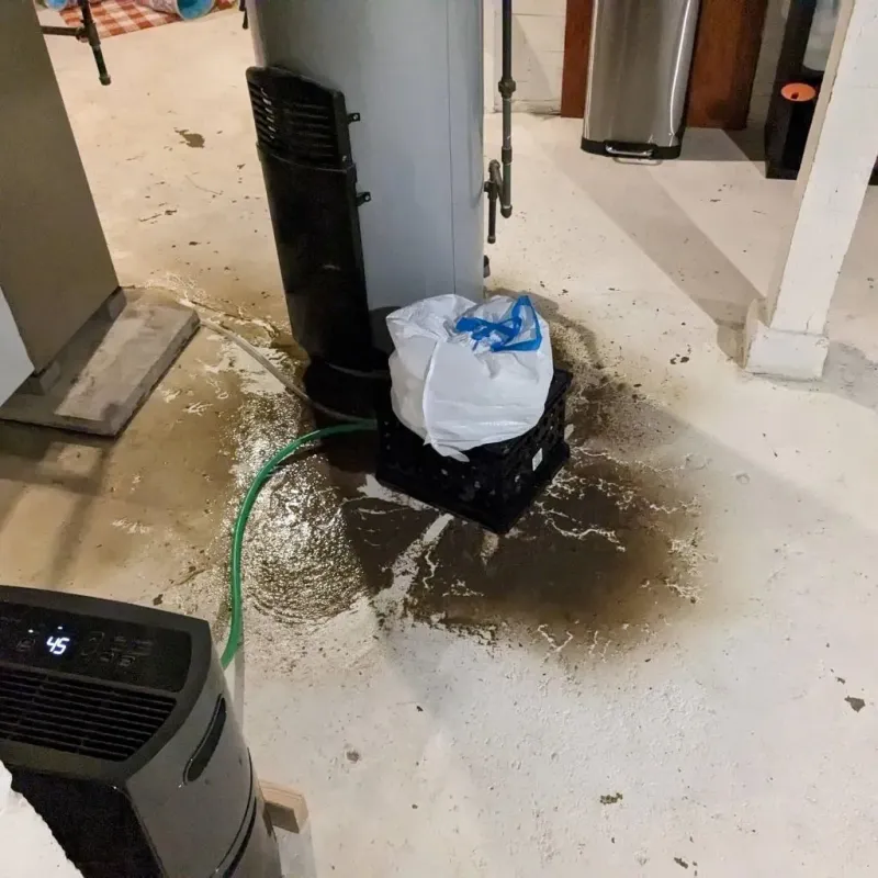 Sewage Backup Cleanup Service in Lowell, IN
